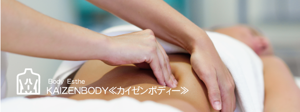 RIMYU カイゼンボディー RIMYU カイゼンボディー