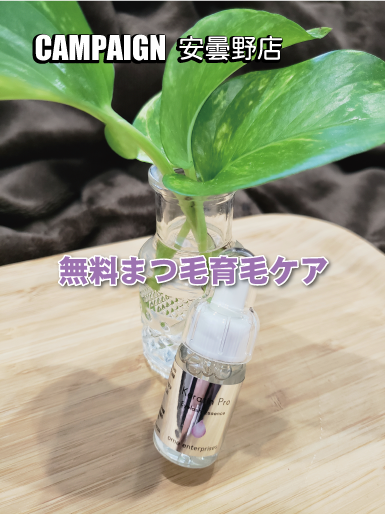 安曇野店キャンペーン情報 安曇野店キャンペーン情報